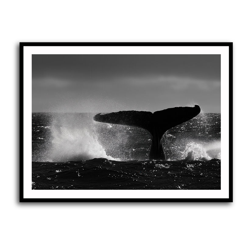Framed Print 