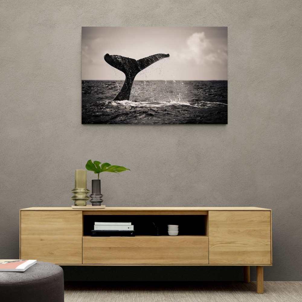 Whale Tail Whale Tail