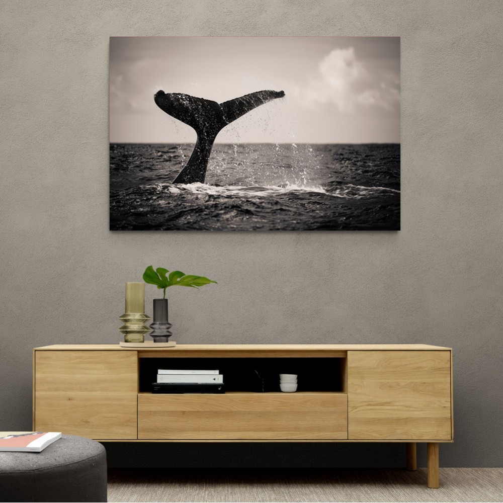 Whale Tail Whale Tail