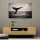 Whale Tail Whale Tail