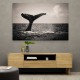 Whale Tail Whale Tail