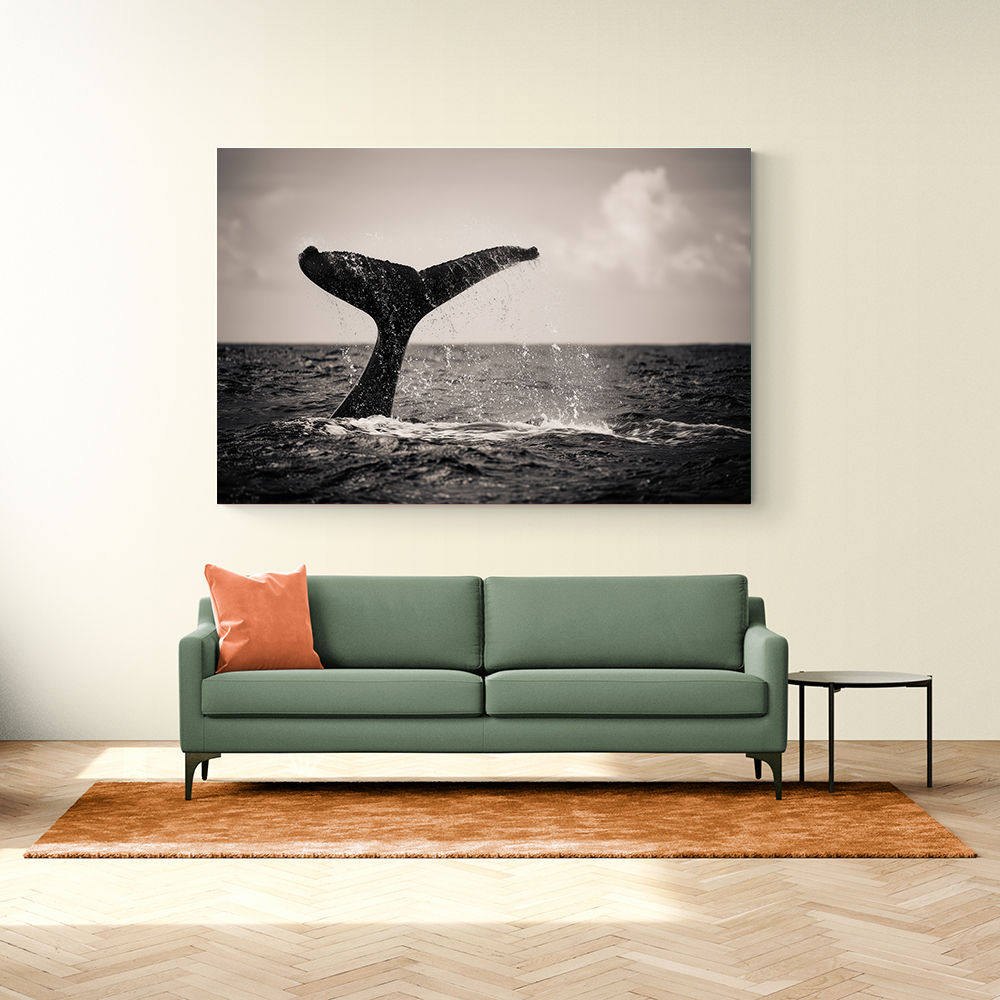 Whale Tail Whale Tail