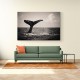 Whale Tail Whale Tail