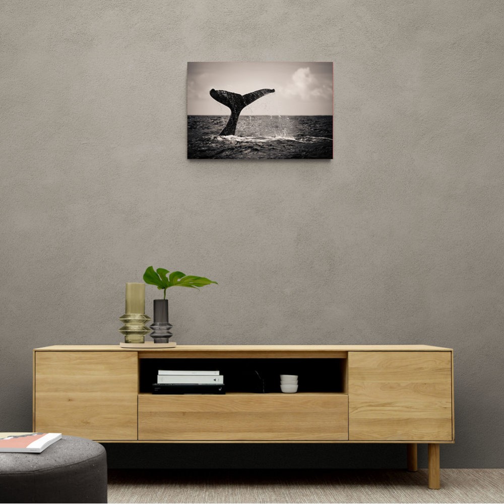 Whale Tail Whale Tail