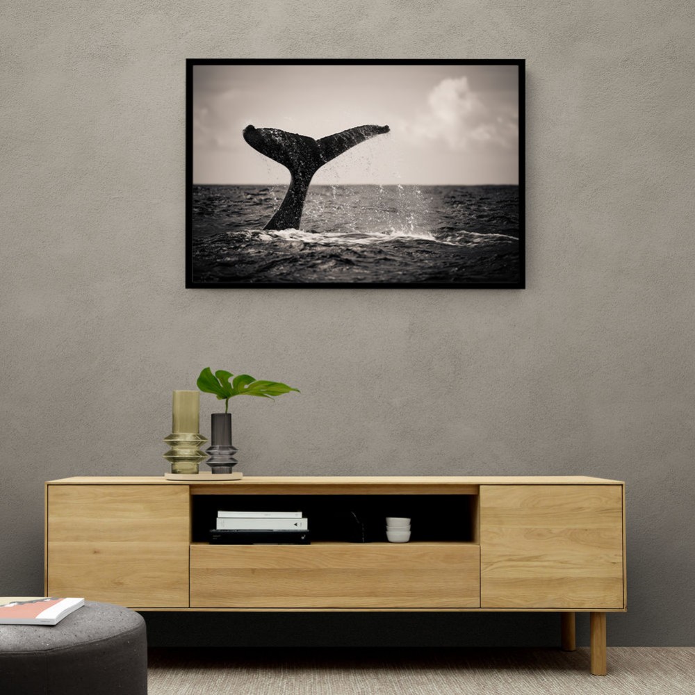 Whale Tail Whale Tail