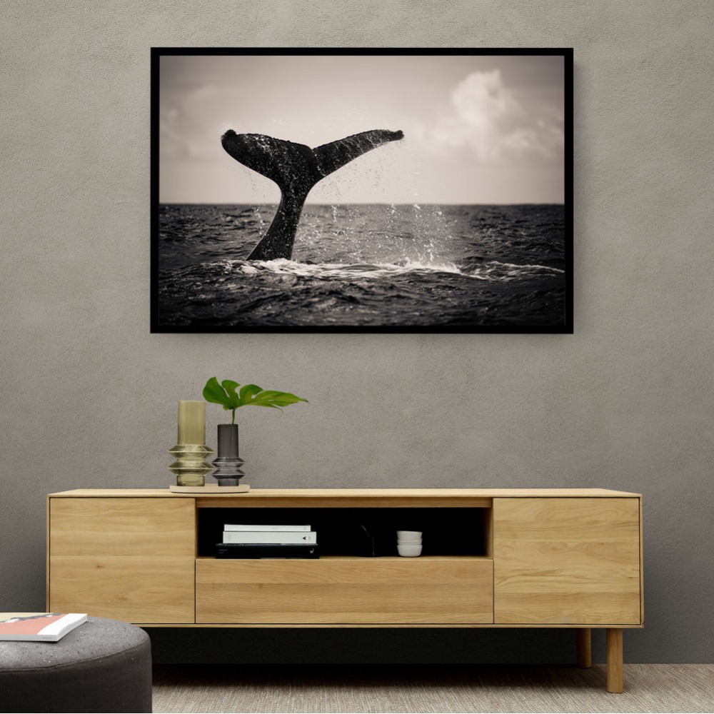 Whale Tail Whale Tail