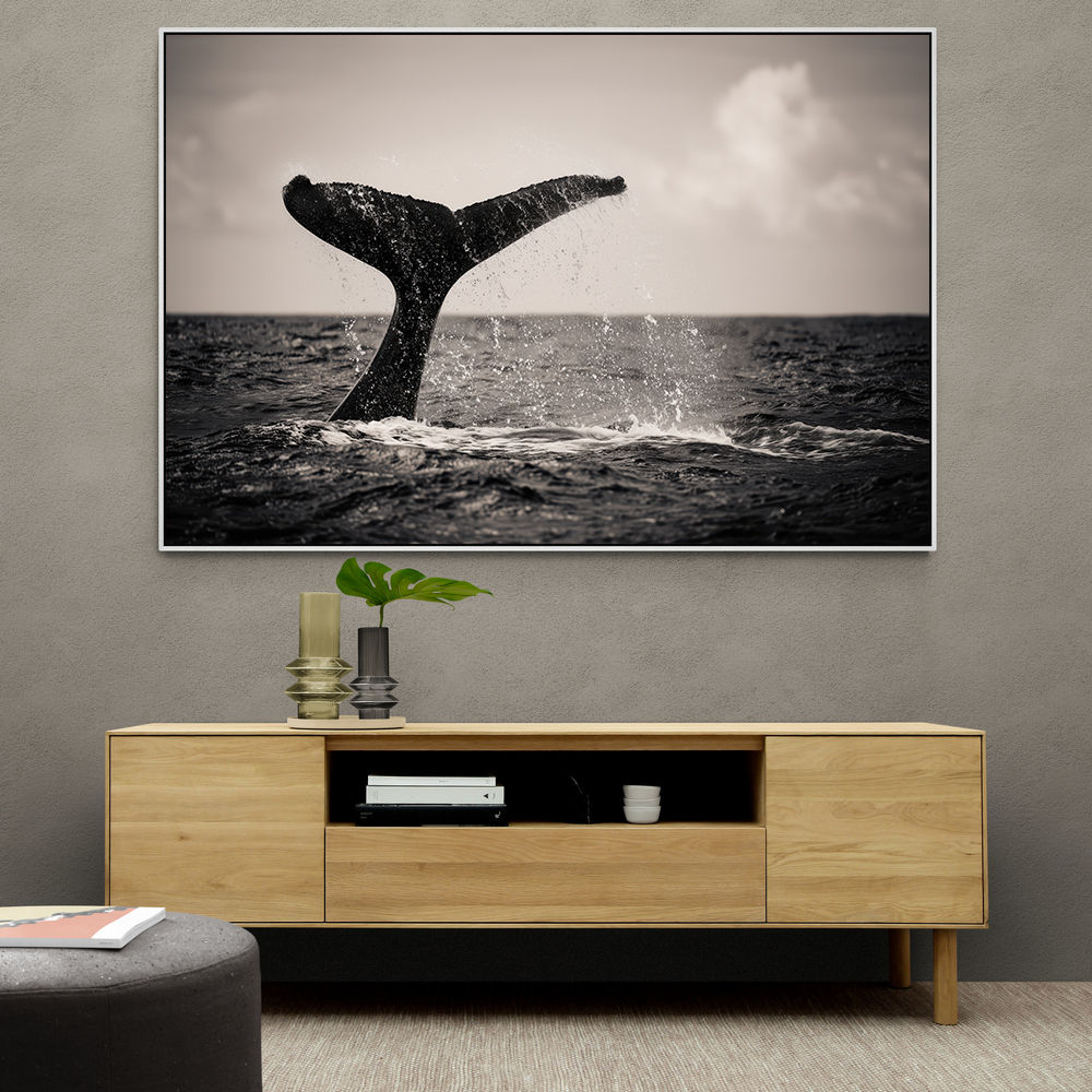 Whale Tail Whale Tail