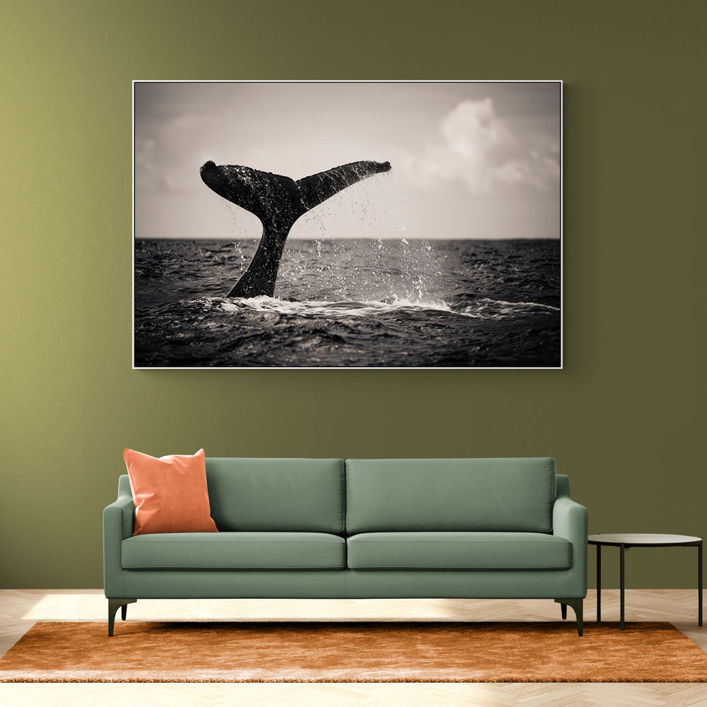 Whale Tail Whale Tail