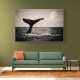 Whale Tail Whale Tail