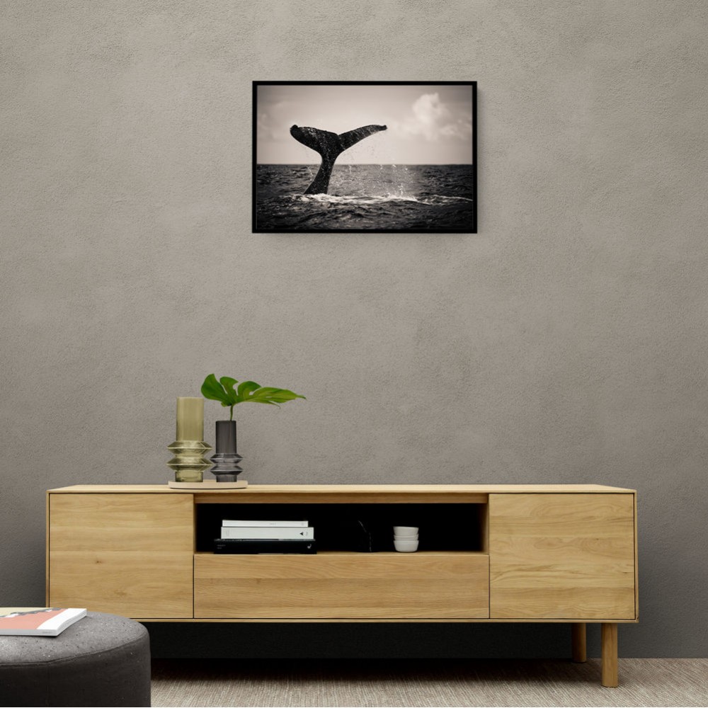 Whale Tail Whale Tail