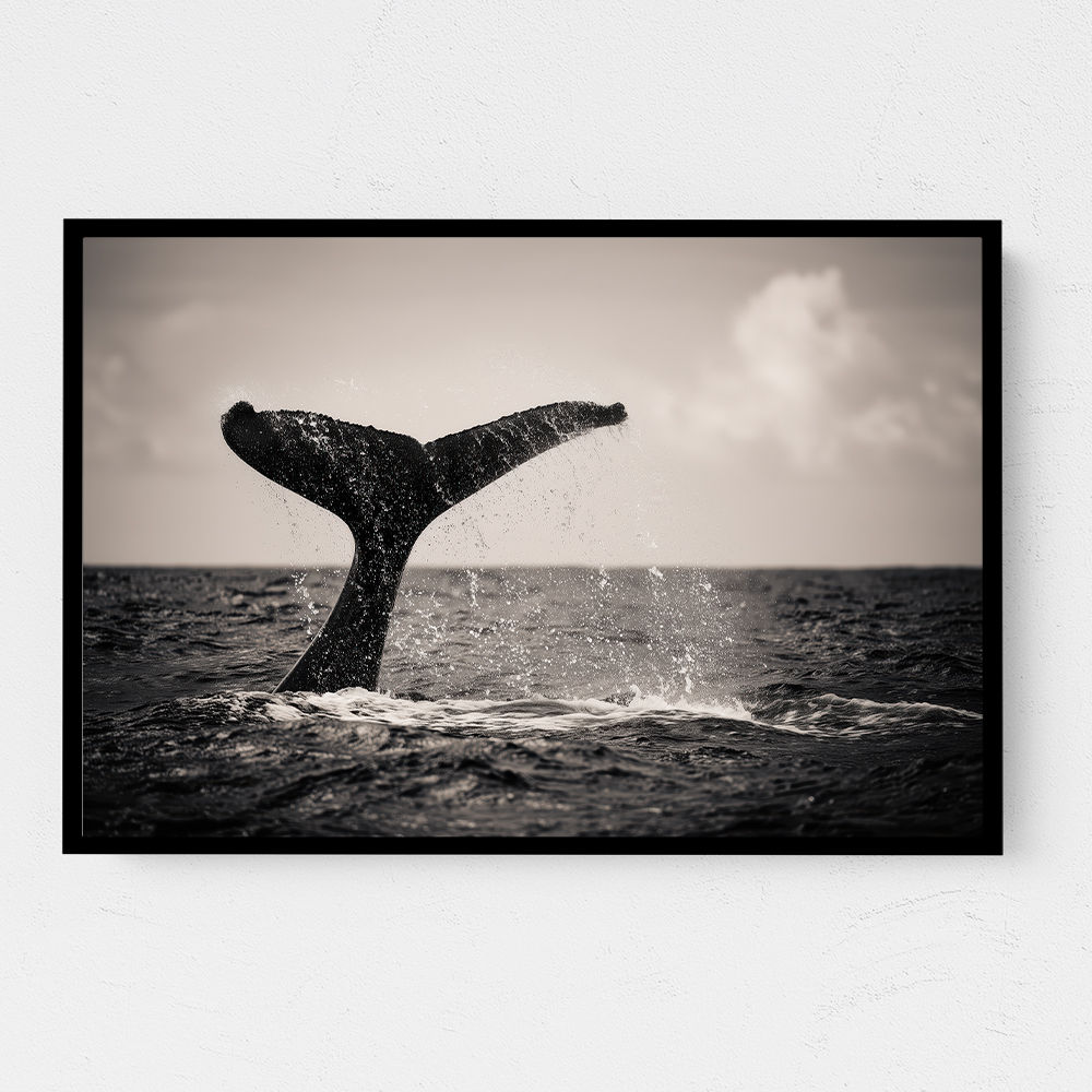 Whale Tail Whale Tail