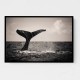 Whale Tail Whale Tail