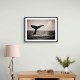 Whale Tail Whale Tail