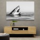Great White Mouth Great White Mouth