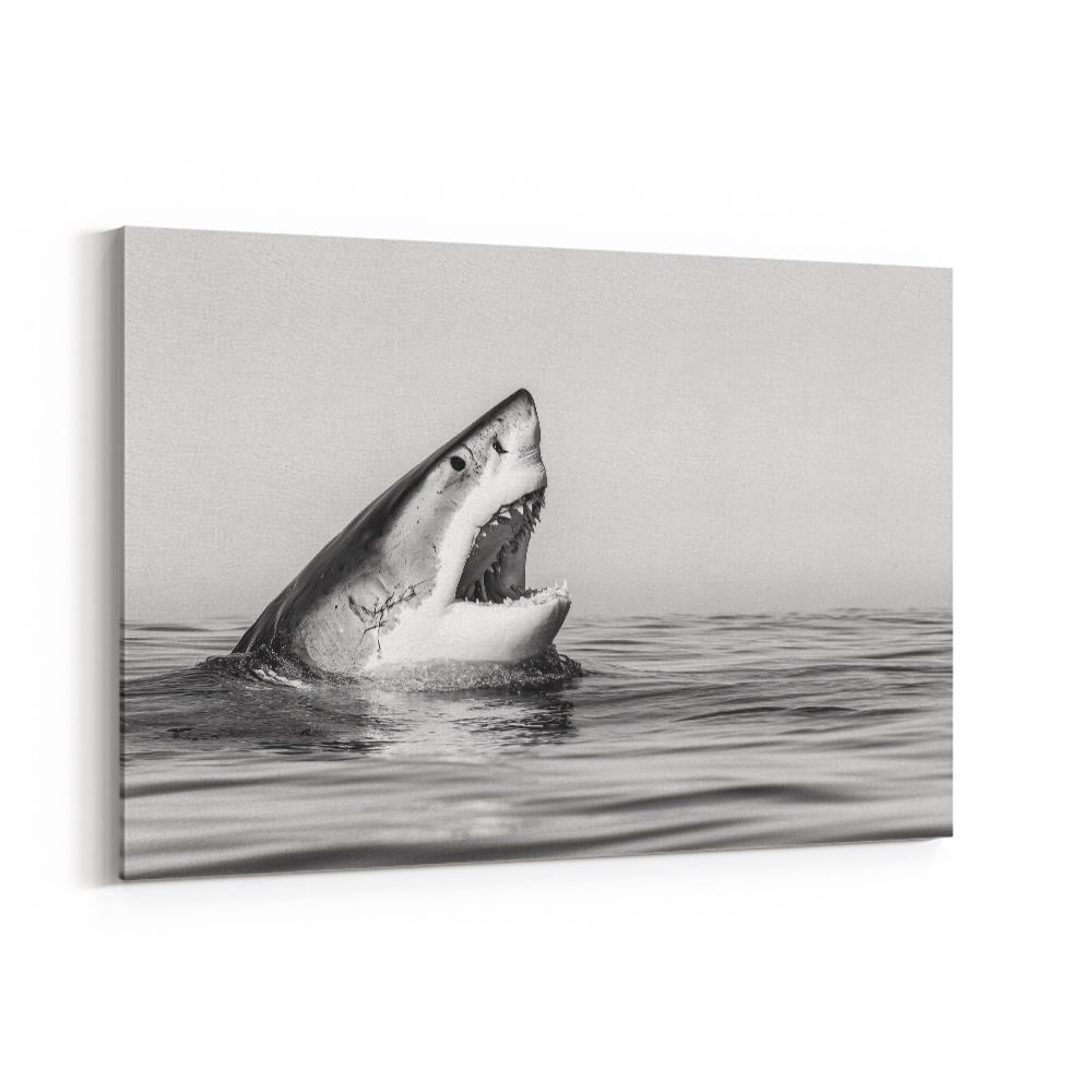 Great White Mouth Great White Mouth