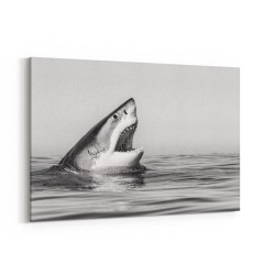 Great White Mouth