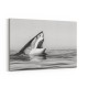 Great White Mouth Great White Mouth