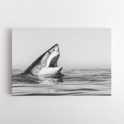 Great White Mouth