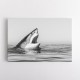 Great White Mouth Great White Mouth