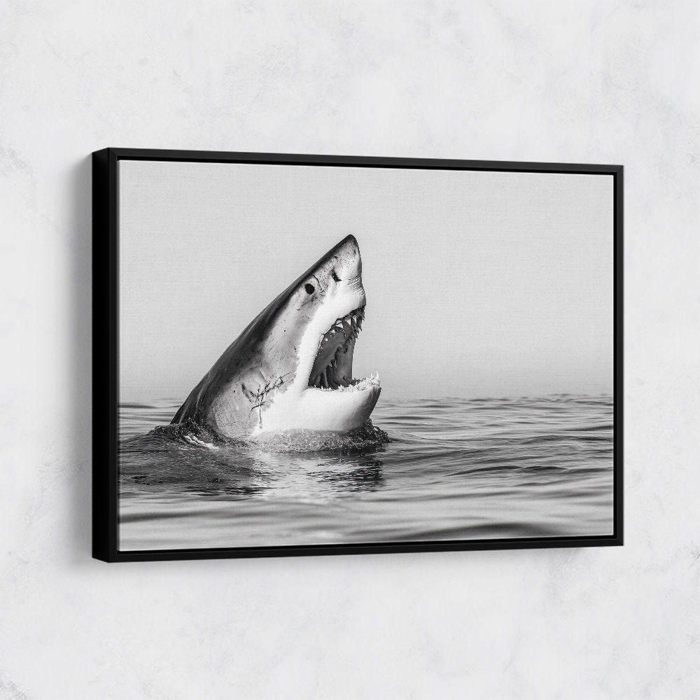 Great White Mouth Great White Mouth