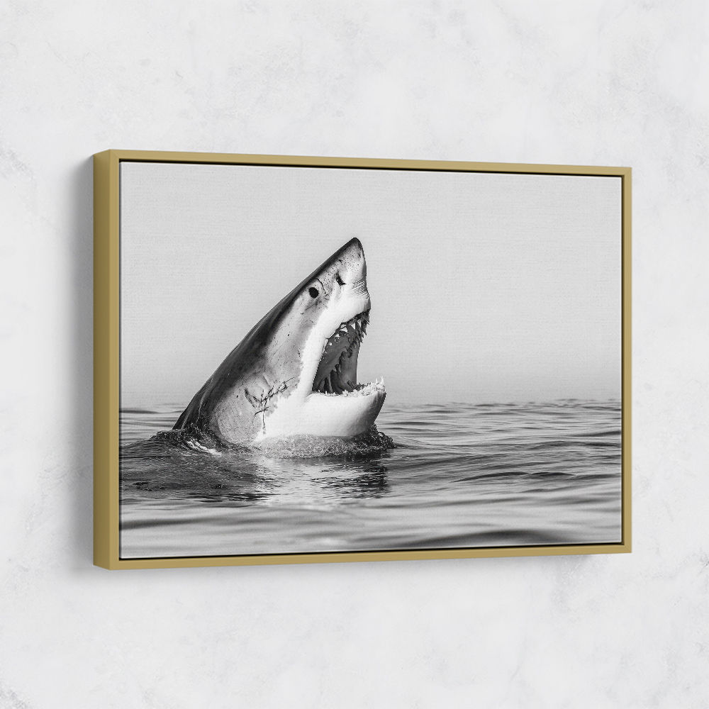 Great White Mouth Great White Mouth