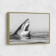 Great White Mouth Great White Mouth
