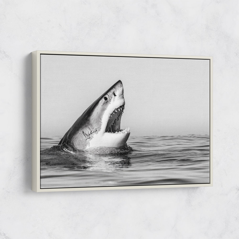 Great White Mouth Great White Mouth