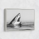 Great White Mouth Great White Mouth