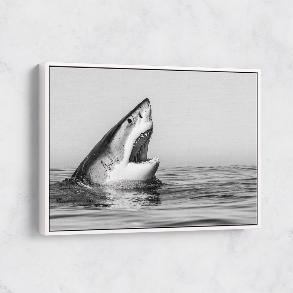 Great White Mouth Great White Mouth