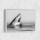 Great White Mouth Great White Mouth