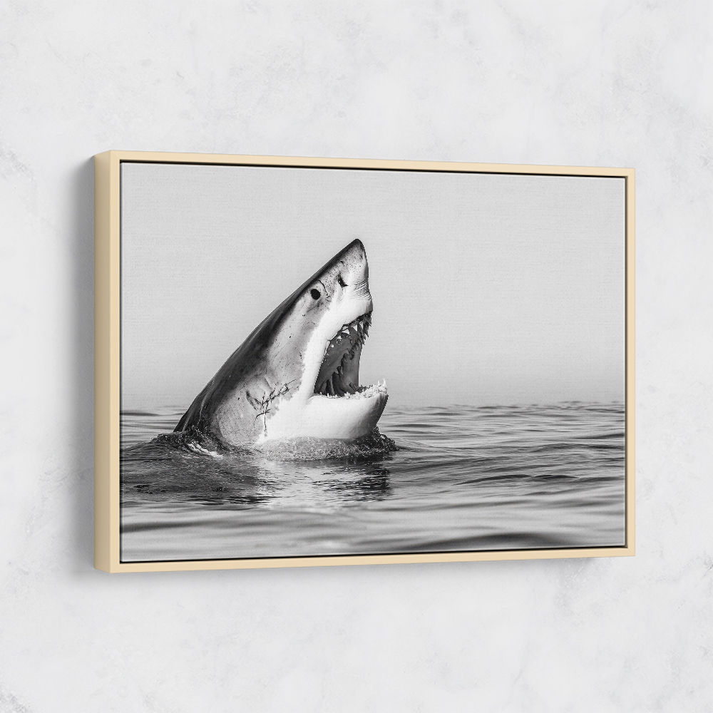 Great White Mouth Great White Mouth