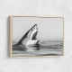 Great White Mouth Great White Mouth