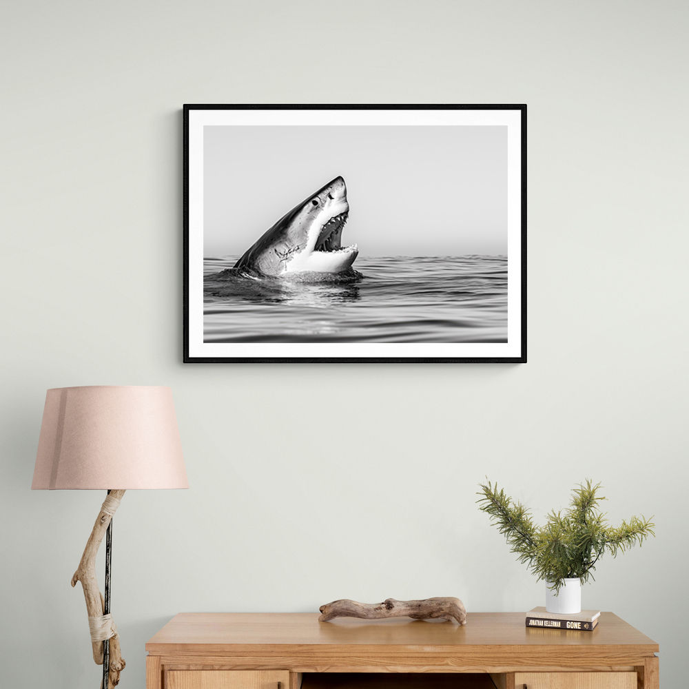 Great White Mouth Great White Mouth