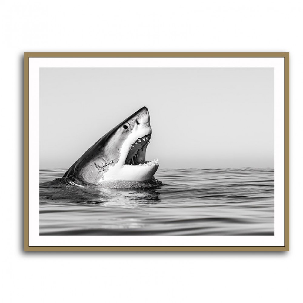 Great White Mouth Great White Mouth