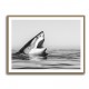 Great White Mouth Great White Mouth