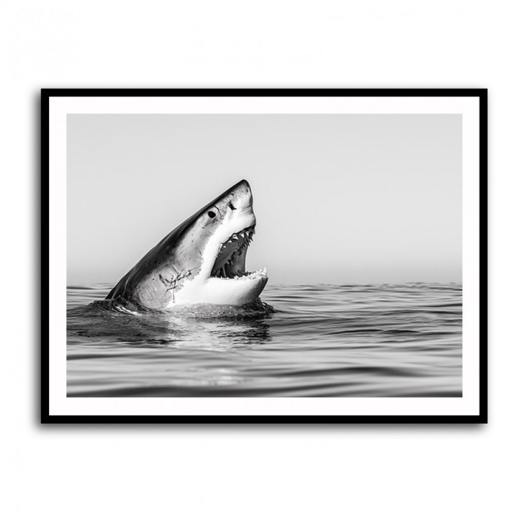 Great White Mouth Great White Mouth