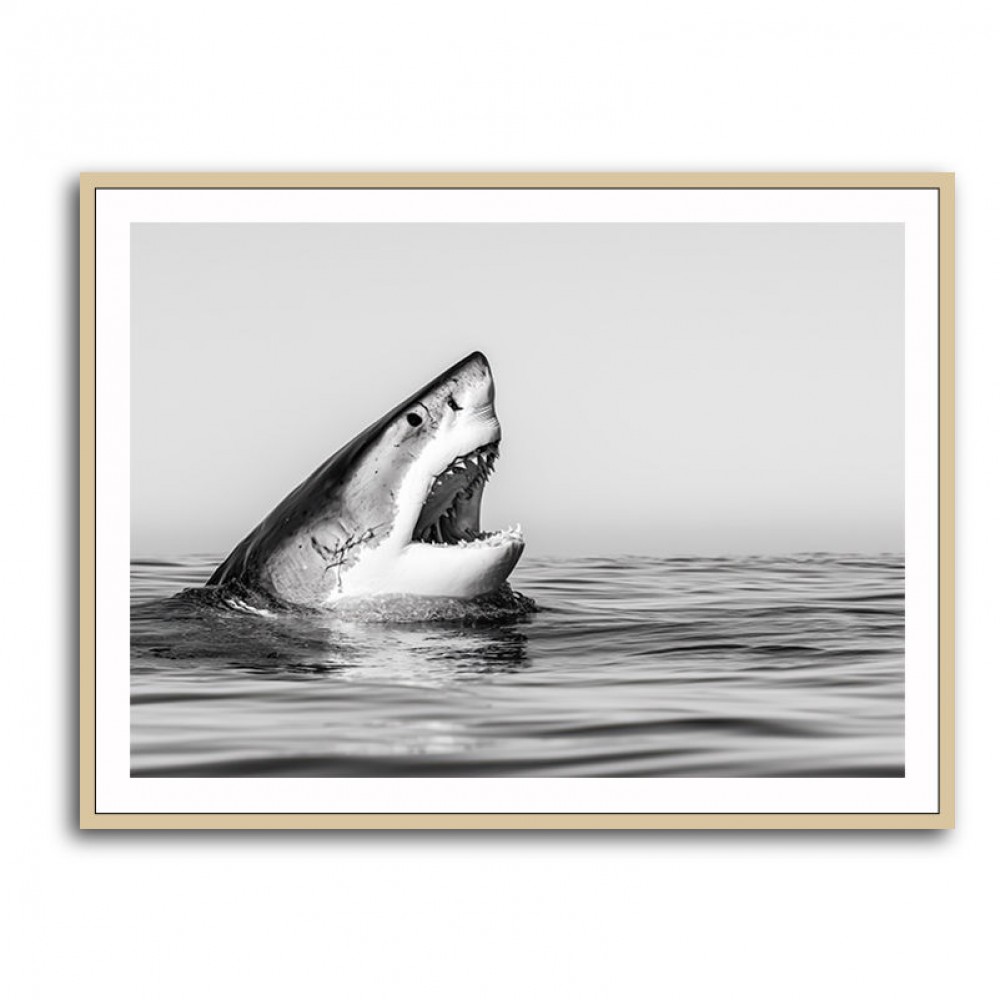 Great White Mouth Great White Mouth