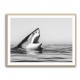Great White Mouth Great White Mouth
