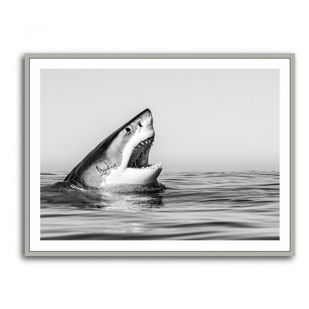 Great White Mouth Great White Mouth