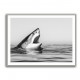 Great White Mouth Great White Mouth