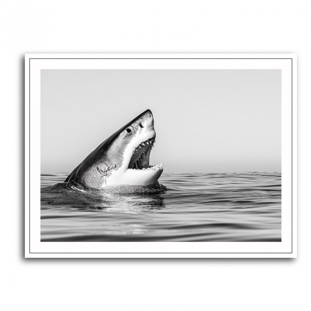 Great White Mouth Great White Mouth