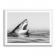 Great White Mouth Great White Mouth