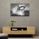 Shark Power Shark Power
