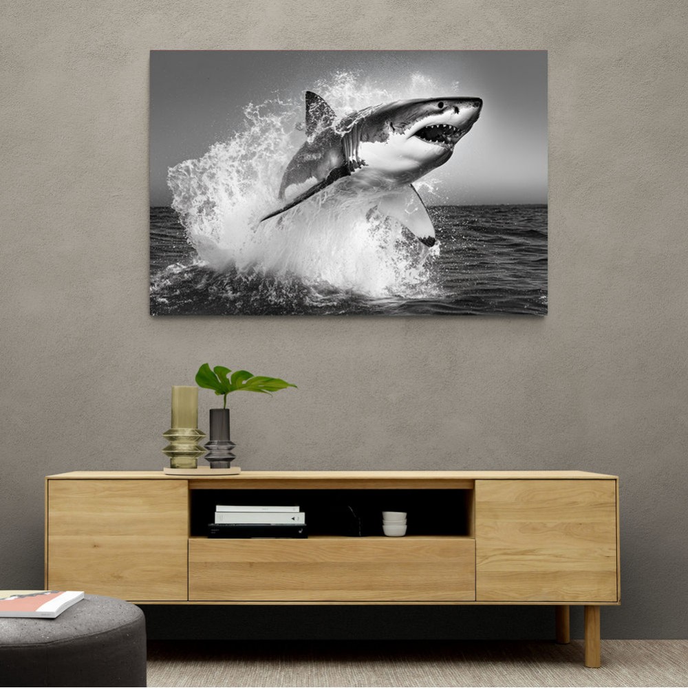 Shark Power Shark Power