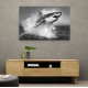 Shark Power Shark Power