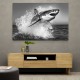 Shark Power Shark Power