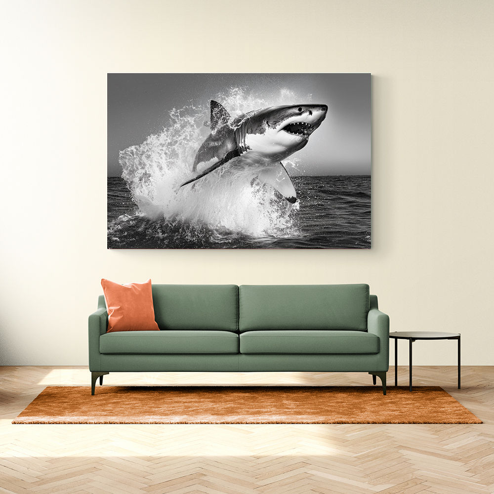Shark Power Shark Power