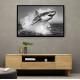 Shark Power Shark Power