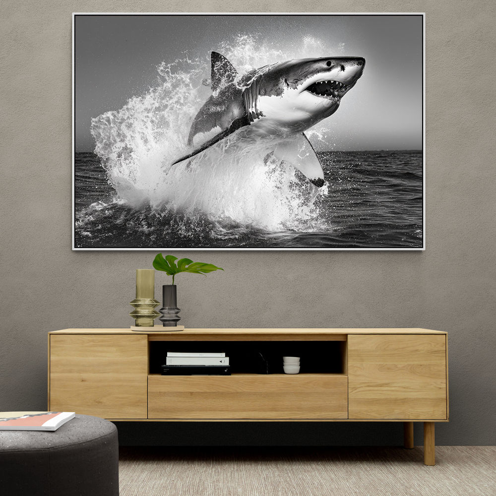 Shark Power Shark Power