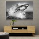 Shark Power Shark Power
